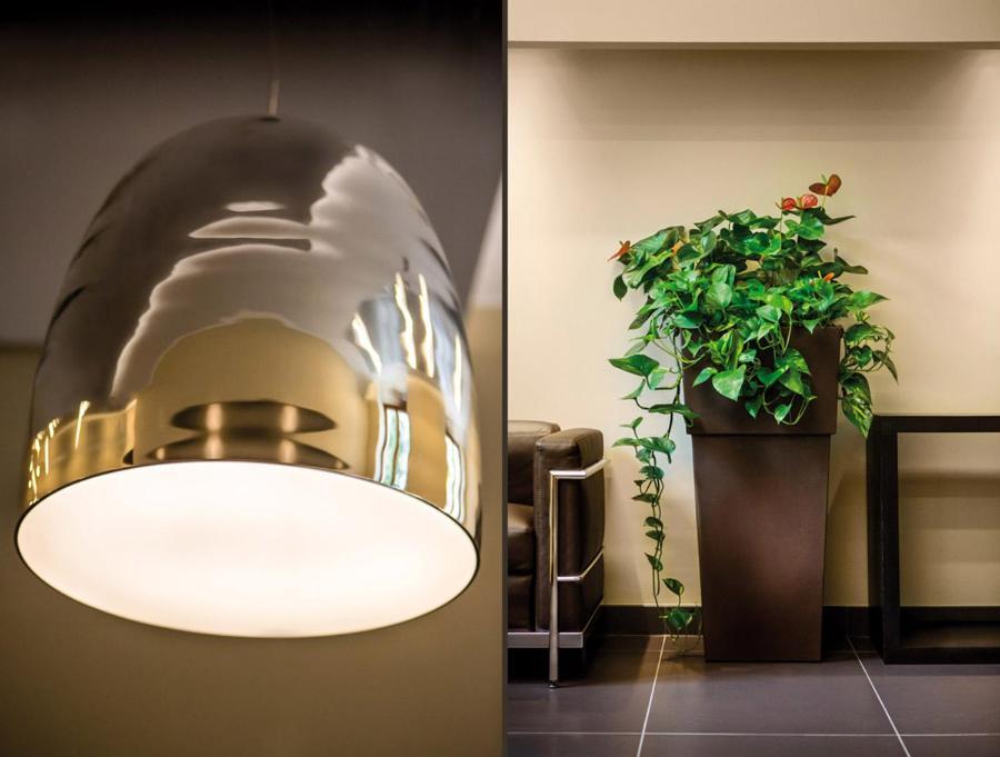 Hotel Il Cantico St. Peter Rome Extérieur photo