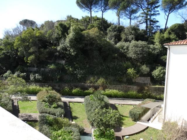 Hotel Il Cantico St. Peter Rome Extérieur photo